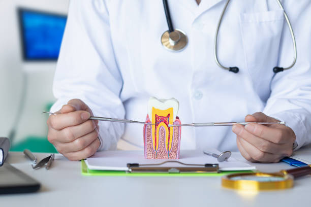 Best Emergency Tooth Extraction in Sylvan Lake, MI